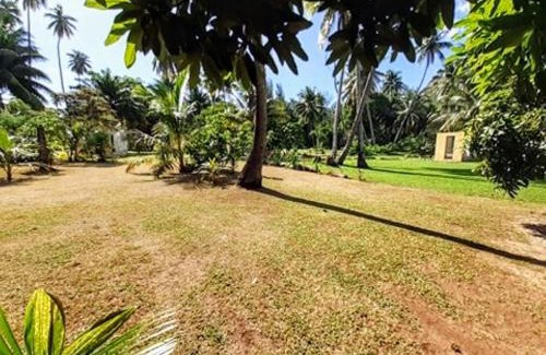 Moorea-Maiao House | MOOREA - Local Spirit 6