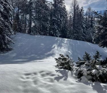 Lens Apartment | Mountain View perfect retreat in Crans