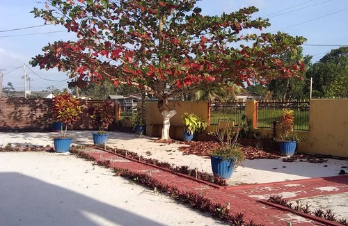 Linden House | Ms Holder's Comfort Villa, Your Home Away from Home