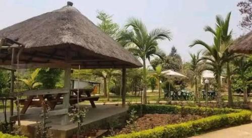 Zambia House | Mutanda Georgie's Bar & Grill