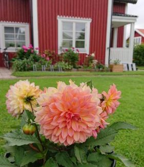 Borlange Cabin | Myntloftet med inglasad bubbelbad