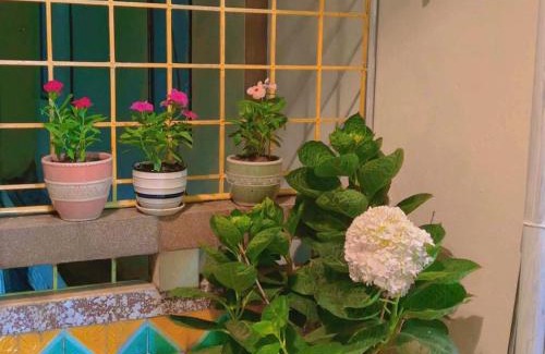 Ngo Quyen Hotel | Nâu nhỏ Homestay