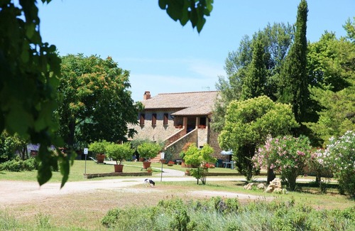 Amelia Apartment | Nature and relax in agriturismo Podere Luchiano with private swimming pool
