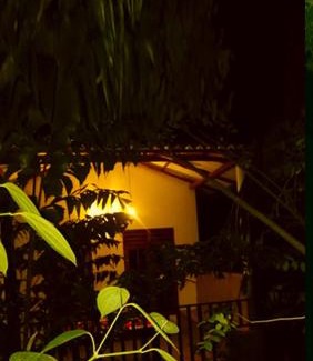Embilipitiya Cabin | Nature Glow Cottage