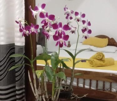 Embilipitiya Cabin | Nature Glow Cottage