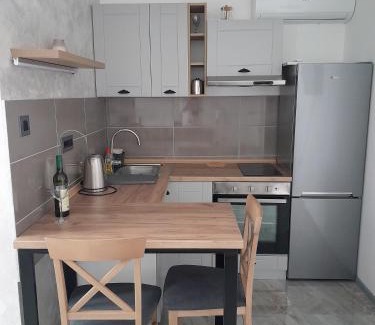Pancevo Apartment | Nemanjina Centar