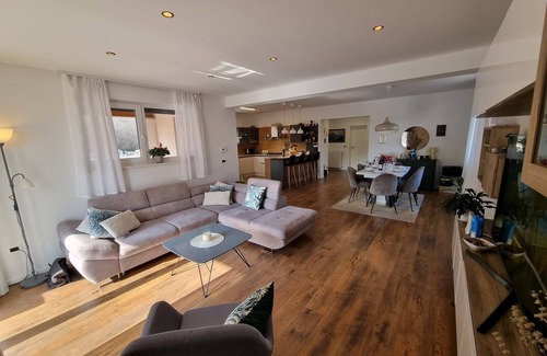 Rovinjsko Selo Villa | New modern villa with private pool 7 km from the sea.