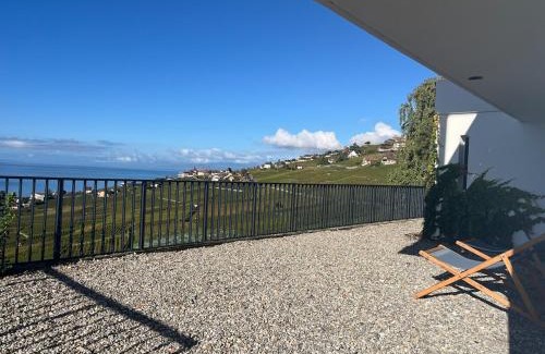 Cully Apartment | New renovated studio with outstanding view