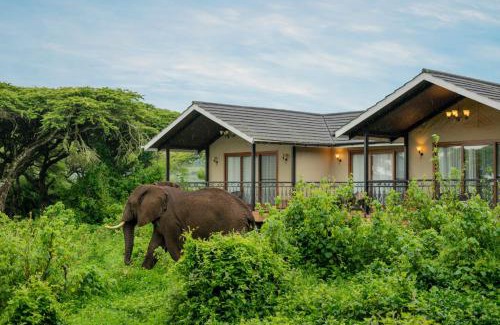 Ngorongoro Conservation Area Hotel | Ngorongoro Lion's Paw