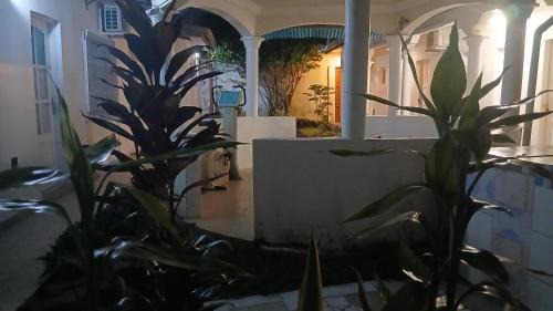 Cuvette Apartment | Ngoyo station puma