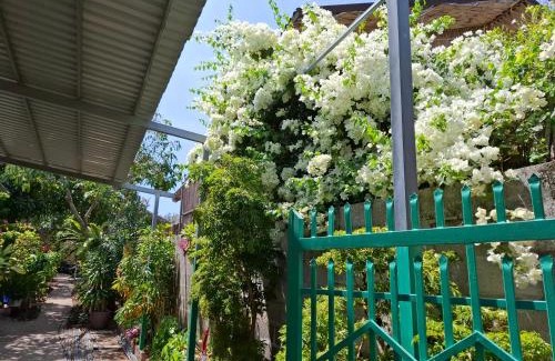 Phu Hai Beach Apartment | Nhà Nghỉ Sứ Trắng