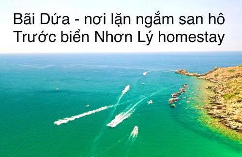 Quy Nhon House | Nhon Ly Homestay