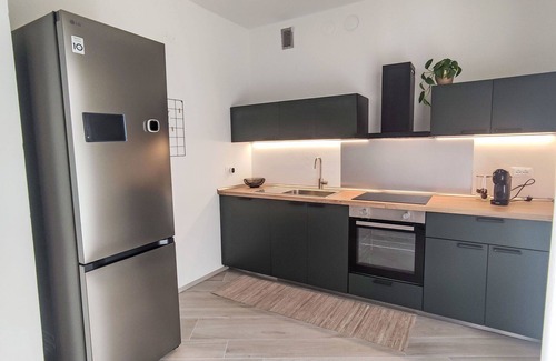 Ravina Apartment | Nice apartment for 4 guests with WIFI, TV, patio and pets allowed