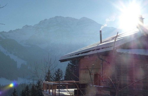 Lenk Apartment | Nice apartment for 5 people with WIFI, TV, balcony and pets allowed