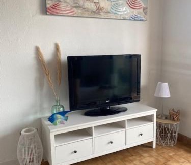 Port Grimaud Apartment | Nice Apt In Front Of The Marina In Grimaud