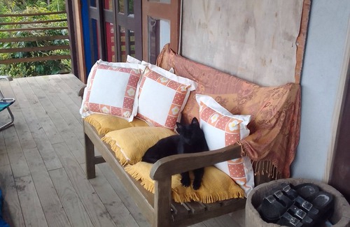 Morrinhos House | Nina's House