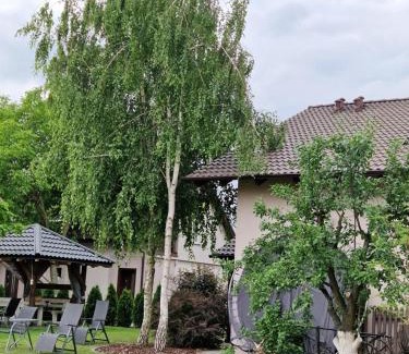 Goluchow Apartment | Noclegi u Alicji