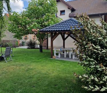 Goluchow Apartment | Noclegi u Alicji