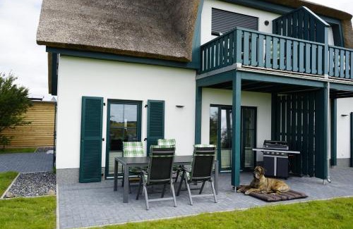 Trent House | Nordlicht II