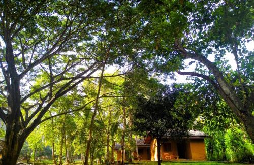 Udawalawa Resort | Nuwa Serenity River Retreat