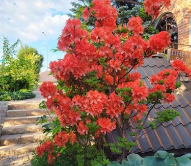 Polanczyk Bed & Breakfast | Ośrodek Wypoczynkowy CRYSTAL