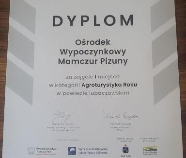 Narol Cabin | Ośrodek Wypoczynkowy Mamczur Pizuny