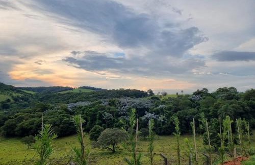 Braganca Paulista House | O Zóio da cobra é verde