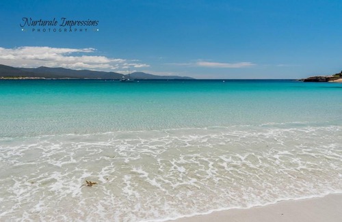 Bicheno Apartment | Ocean Dreams