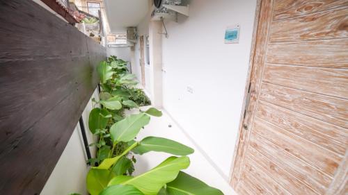Sanur Apartment | Ocean Star Apartment Sanur
