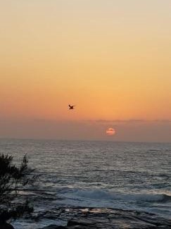 Port Edward Apartment | Ocean View Villas A08