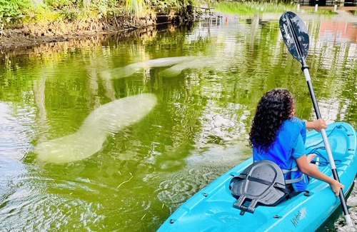Weeki Wachee Gardens House | Oct. SPECIAL add an Extra night for 150-Cozy retreat-Early Ck-in & Late Ck out
