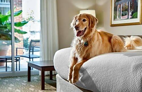 Athens Hotel | Ohio University Inn and Conference Center