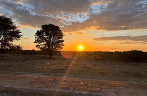 Maun Other | Okavango Bush Campsite