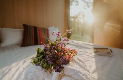 Rainbow Flat House | One Gaea by Tiny Away