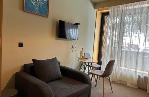 Bakuriani Apartment | One Room Apartment in Rooms Hotel Kokhta, Bakuriani