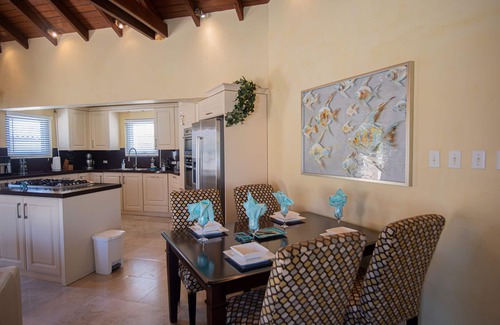Malmok Apartment | Opal Apt, with private pool