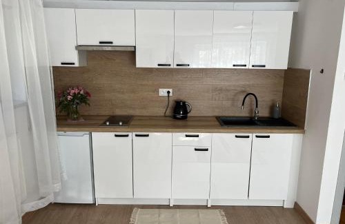 Orlowo Apartment | Orłowo nadmorskie