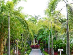 Duong Dong Resort | Orange Resort