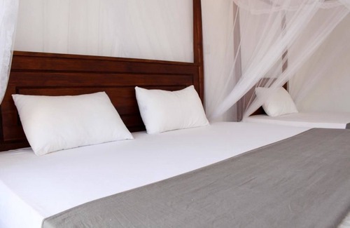 Mirissa Hotel | Orchid Rest Hotel Mirissa