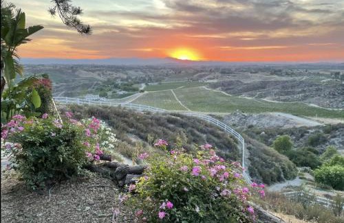 Temecula House | Ortega Ranch at The L Estate and Winery