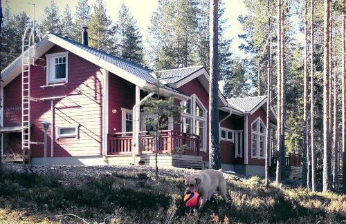 Koli National Park Apartment | OtsoPirtti: Maria and Otso Apartments