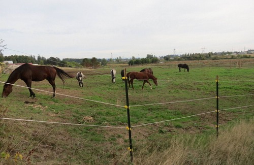 Salem RV Rental | Overnight parking by horse barn in your RV or van.