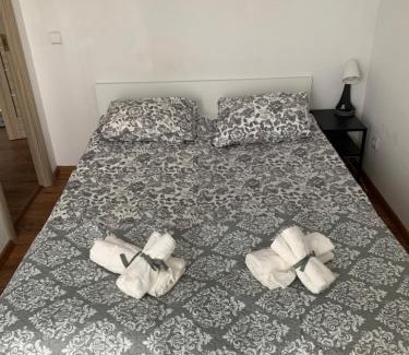 Vilnius city municipality Apartment | Ozas Apartment 1 and 2