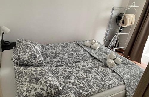 Vilnius city municipality Apartment | Ozas Apartment 1 and 2