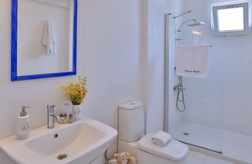 Altınyunus Mahallesi House | Palas Ilica