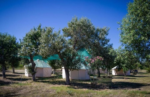 Kassandra RV Rental | Paliouri Luxury Bungalows