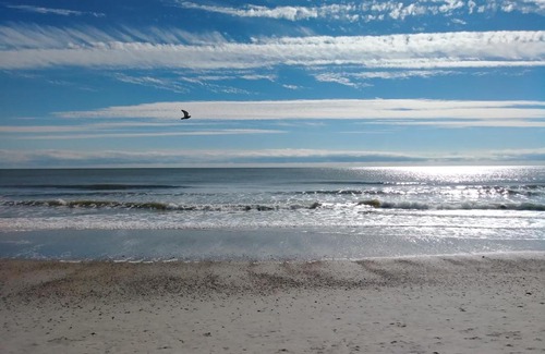 Myrtle Beach Apartment | Palms Resort