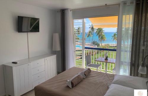 Pointe de la verdure Apartment | Pana Beach