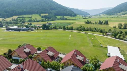Mauterndorf House | Panorama Chalet Taurachtal