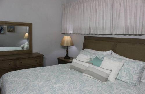Honokowai Apartment | Papakea Resort G406